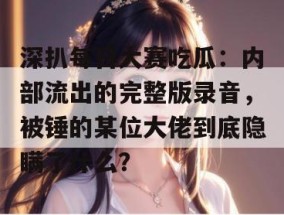 深扒每日大赛吃瓜：内部流出的完整版录音，被锤的某位大佬到底隐瞒了什么？